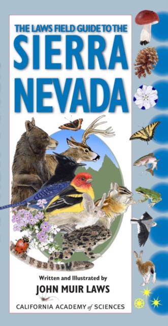 The Laws Field Guide to the Sierra Nevada, Paperback / softback Book