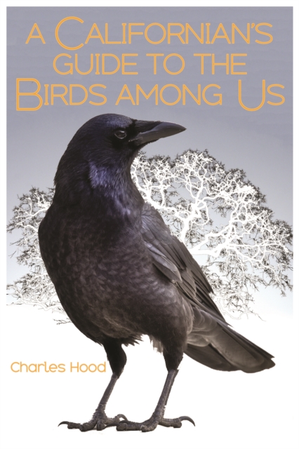 A Californian's Guide to the Birds among Us, Paperback / softback Book