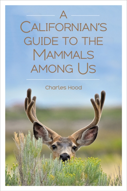 A Californian's Guide to the Mammals among Us, Paperback / softback Book