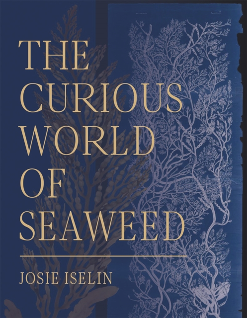 The Curious World of Seaweed, Hardback Book