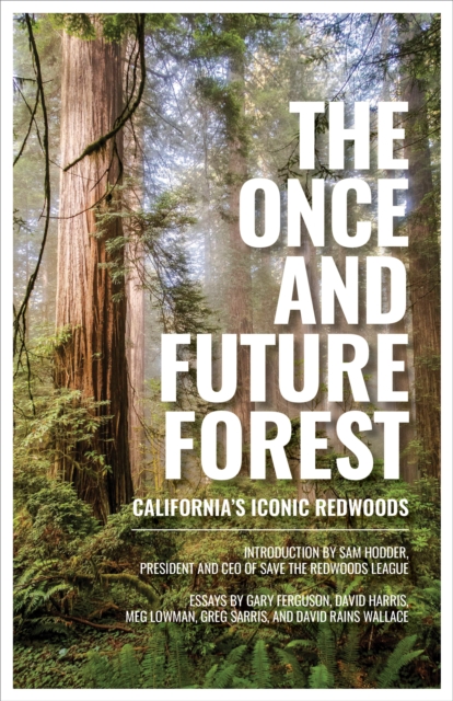 The Once and Future Forest : California's Iconic Redwoods, Hardback Book
