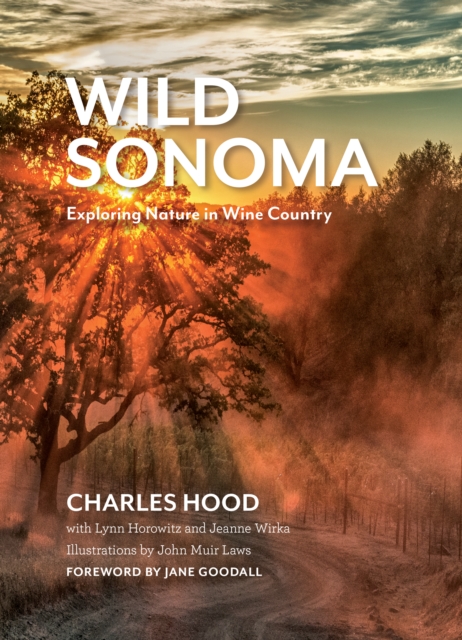 Wild Sonoma : Exploring Nature in Wine Country, Paperback / softback Book