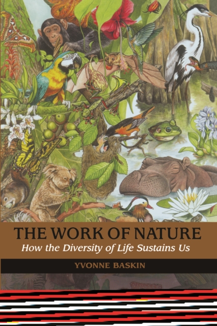 The Work of Nature : How The Diversity Of Life Sustains Us, EPUB eBook