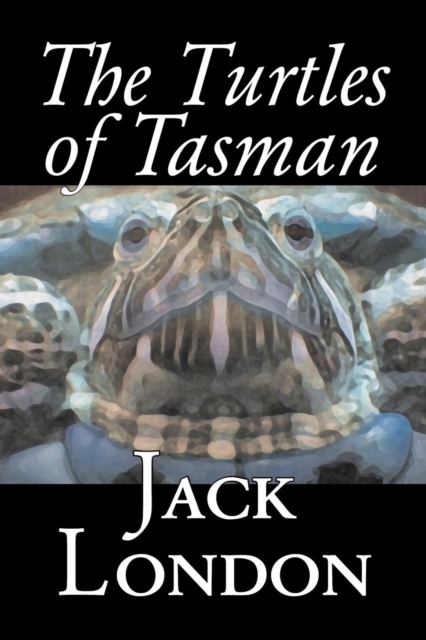 The Turtles of Tasman, Paperback / softback Book