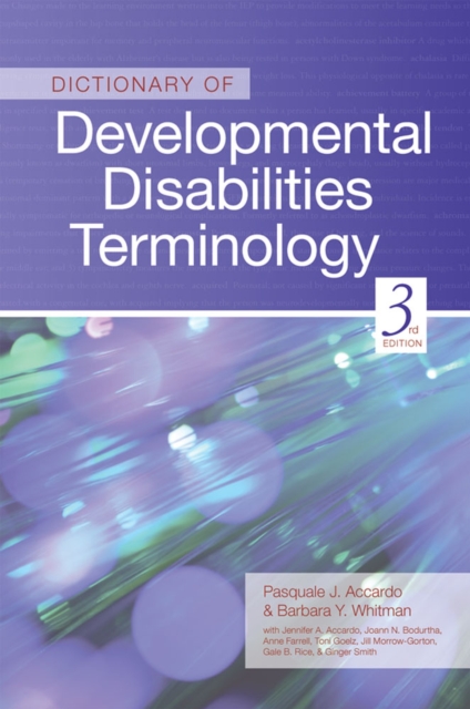 Dictionary of Developmental Disabilities Terminology, Paperback / softback Book