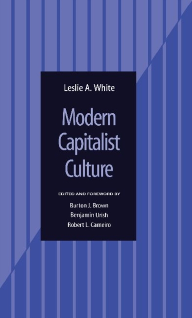 Modern Capitalist Culture, Hardback Book