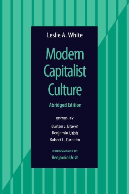 Modern Capitalist Culture, Abridged Edition, Paperback / softback Book