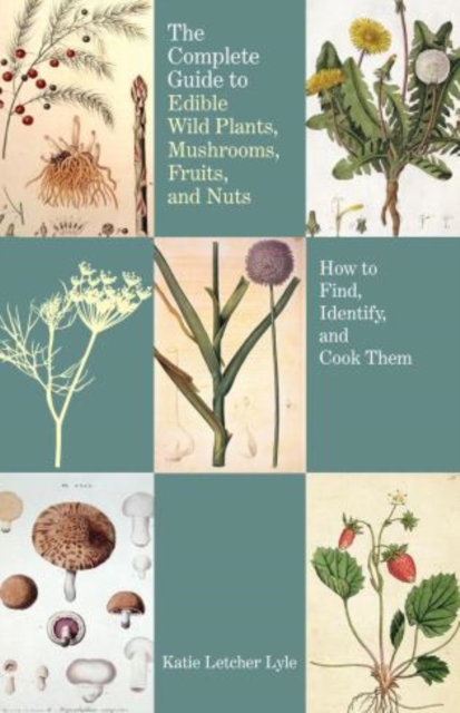 Complete Guide to Edible Wild Plants, Mushrooms, Fruits, and Nuts : How to Find, Identify, and Cook Them, Paperback / softback Book