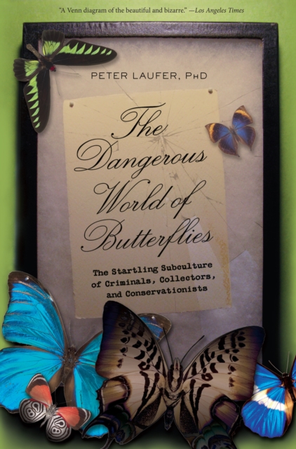 Dangerous World of Butterflies : The Startling Subculture Of Criminals, Collectors, And Conservationists, Paperback / softback Book