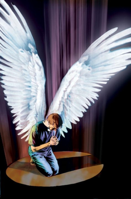 Fallen Angel Volume 3, Paperback / softback Book