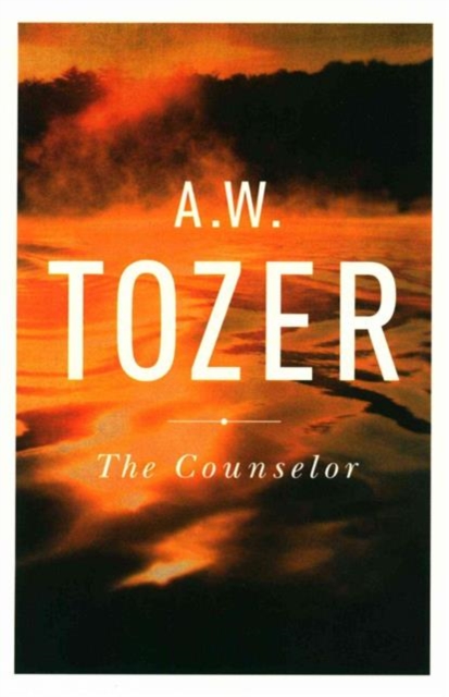 Counselor, The, Paperback / softback Book