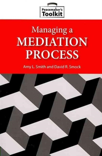 Managing a Mediation Process, Paperback / softback Book