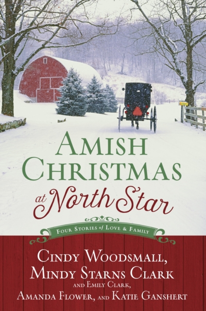 Amish Christmas at North Star, EPUB eBook