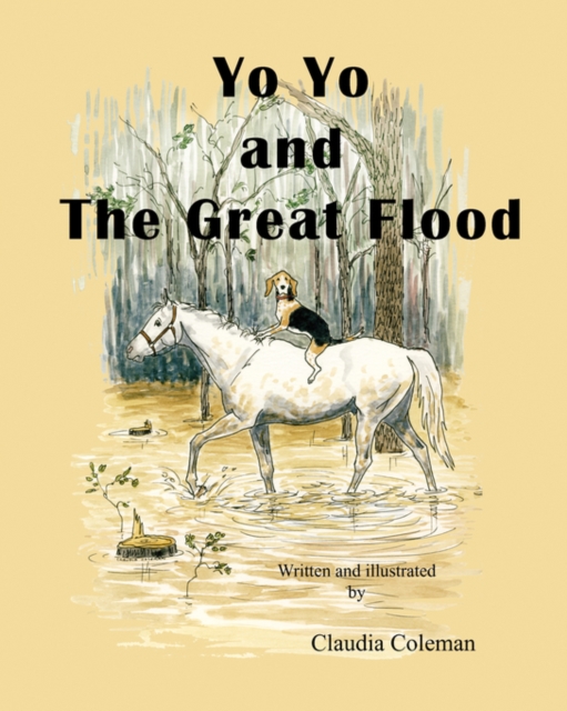 Yo Yo and The Great Flood, Paperback Book