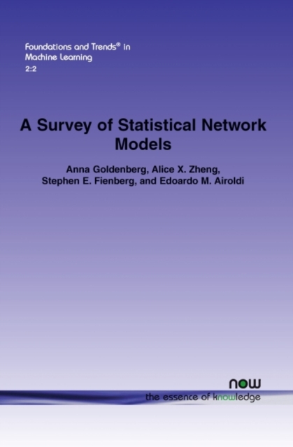 A Survey of Statistical Network Models, Paperback / softback Book