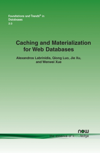 Caching and Materialization for Web Databases, Paperback / softback Book