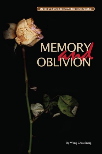 Memory and Oblivion, Paperback / softback Book