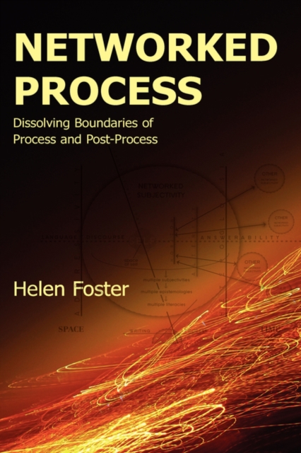Networked Process : Dissolving Boundaries of Process and Post-Process, Paperback / softback Book