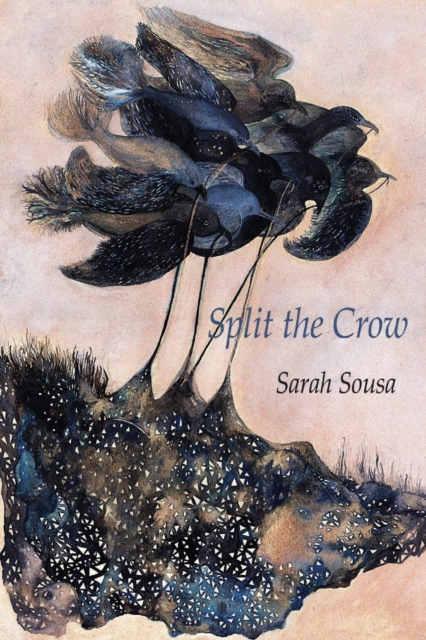 Split the Crow, Paperback / softback Book