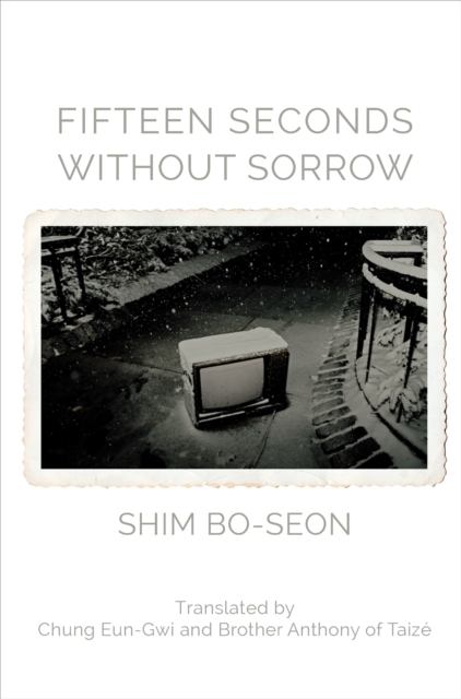 Fifteen Seconds without Sorrow, PDF eBook