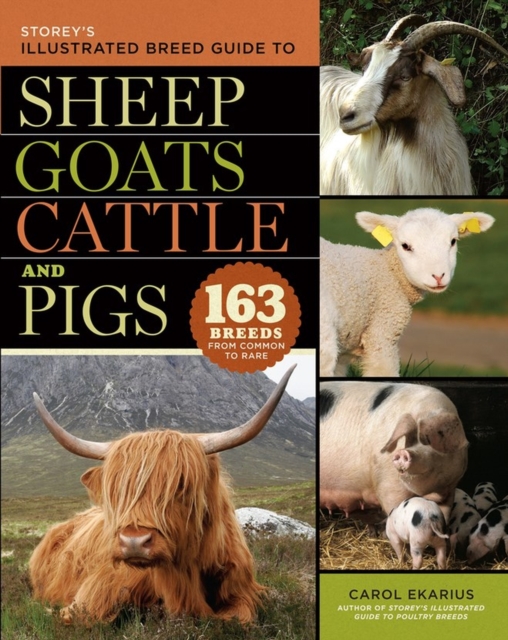 Storey's Illustrated Breed Guide to Sheep, Goats, Cattle and Pigs : 163 Breeds from Common to Rare, Paperback / softback Book