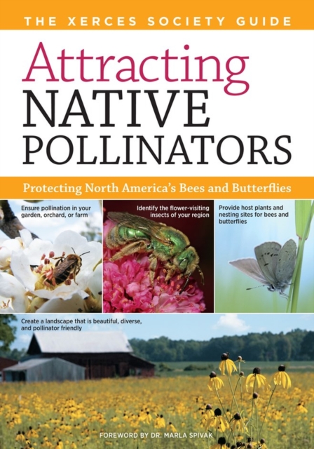 Attracting Native Pollinators : The Xerces Society Guide to Conserving North American Bees and Butterflies and Their Habitat, Paperback / softback Book