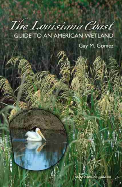 The Louisiana Coast : Guide to an American Wetland, Paperback / softback Book