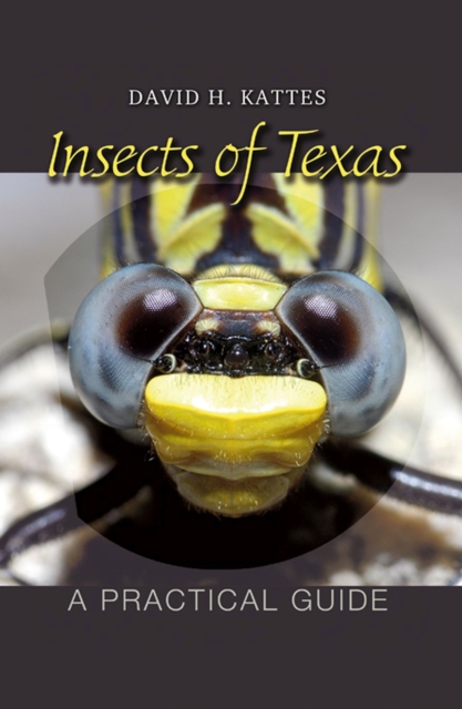 Insects of Texas : A Practical Guide, Paperback / softback Book