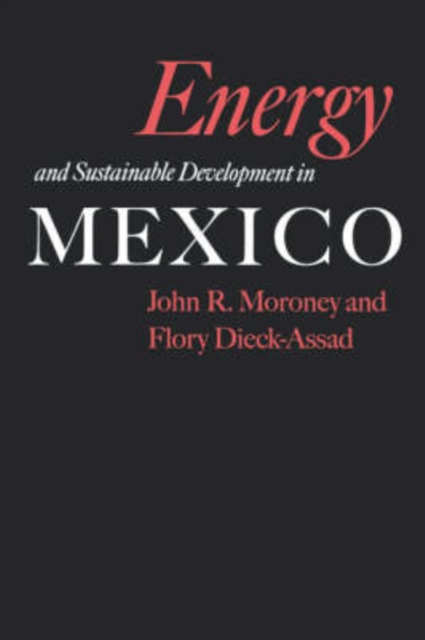 Energy and Sustainable Development in Mexico, Paperback / softback Book