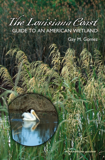 The Louisiana Coast : Guide to an American Wetland, PDF eBook