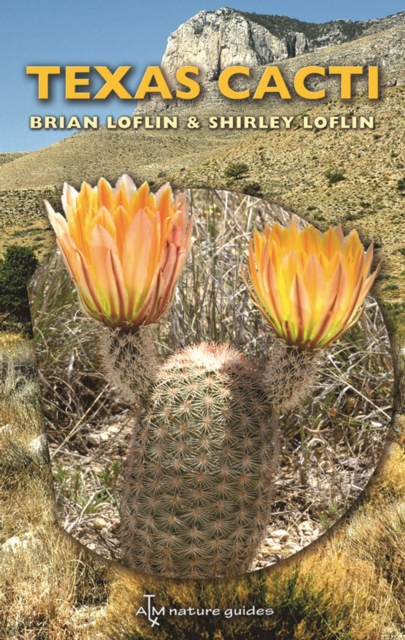 Texas Cacti : A Field Guide, PDF eBook