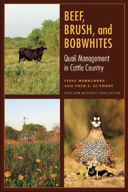Beef, Brush, and Bobwhites : Quail Management in Cattle Country, Paperback / softback Book