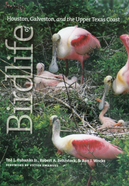 Birdlife of Houston, Galveston, and the Upper Texas Coast, PDF eBook