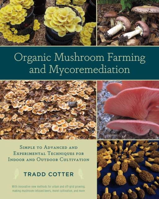 Organic Mushroom Farming and Mycoremediation : Simple to Advanced and Experimental Techniques for Indoor and Outdoor Cultivation, EPUB eBook