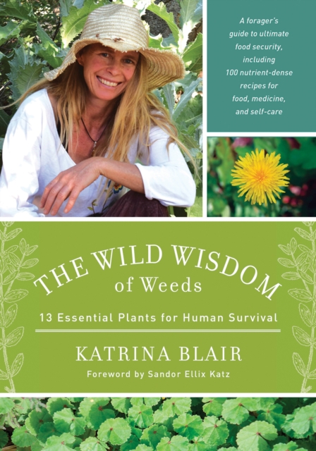 The Wild Wisdom of Weeds : 13 Essential Plants for Human Survival, Paperback / softback Book