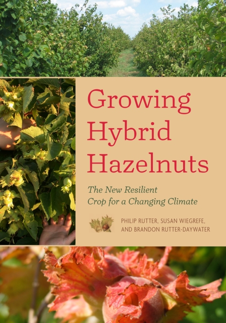 Growing Hybrid Hazelnuts : The New Resilient Crop for a Changing Climate, Paperback / softback Book