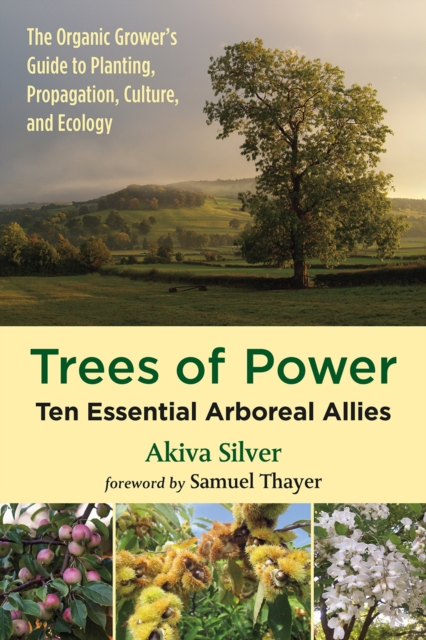 Trees of Power : Ten Essential Arboreal Allies, EPUB eBook