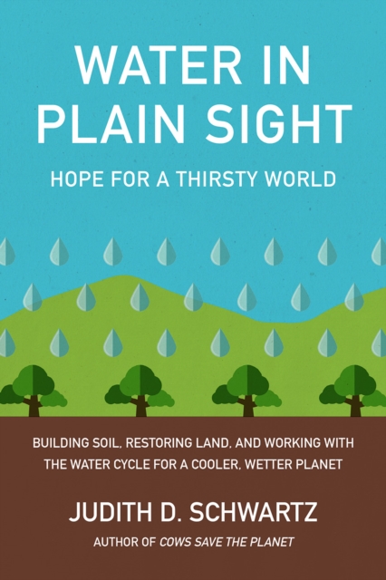 Water in Plain Sight : Hope for a Thirsty World, Paperback / softback Book