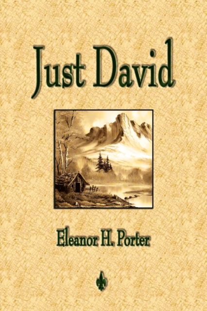 Just David, Paperback / softback Book