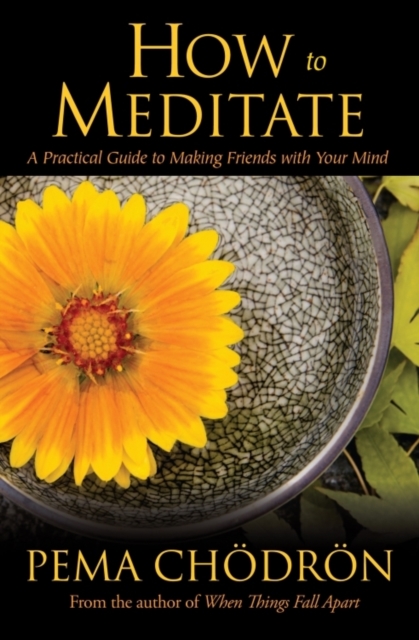 How to Meditate : A Practical Guide to Making Friends with Your Mind, Hardback Book