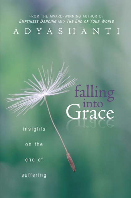 Falling into Grace : Insights on the End of Suffering, Paperback / softback Book