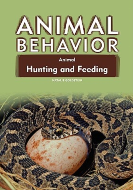 Animal Hunting and Feeding, Hardback Book