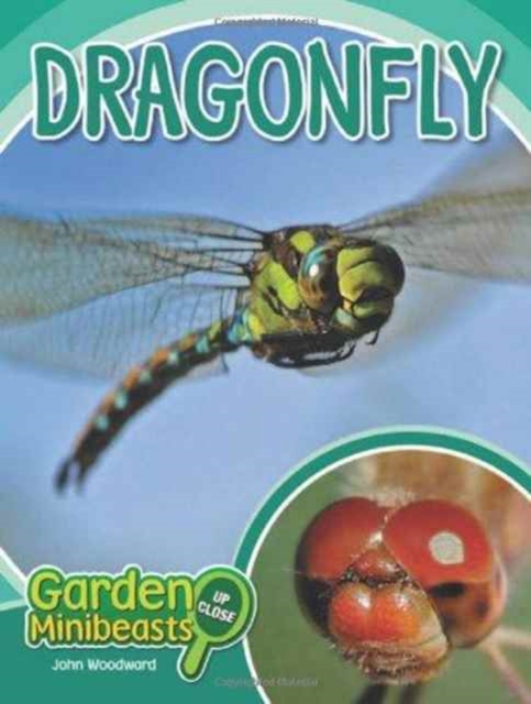 Dragonfly, Hardback Book