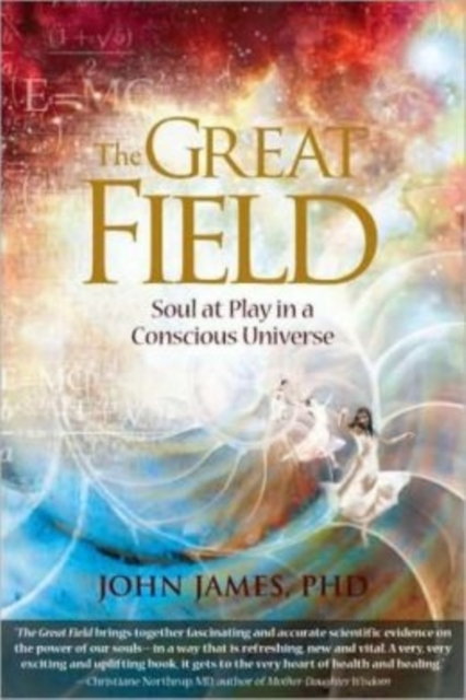 The Great Field : Soul At Play in a Conscious Universe, Paperback / softback Book
