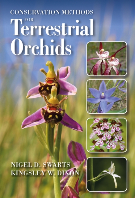 Conservation Methods for Terrestrial Orchids, Hardback Book
