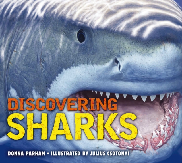 Discovering Sharks : The Ultimate Guide to the Fiercest Predators in the Ocean Deep, Hardback Book