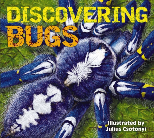 Discovering Bugs : Meet the Coolest Creepy Crawlies on the Planet, Hardback Book