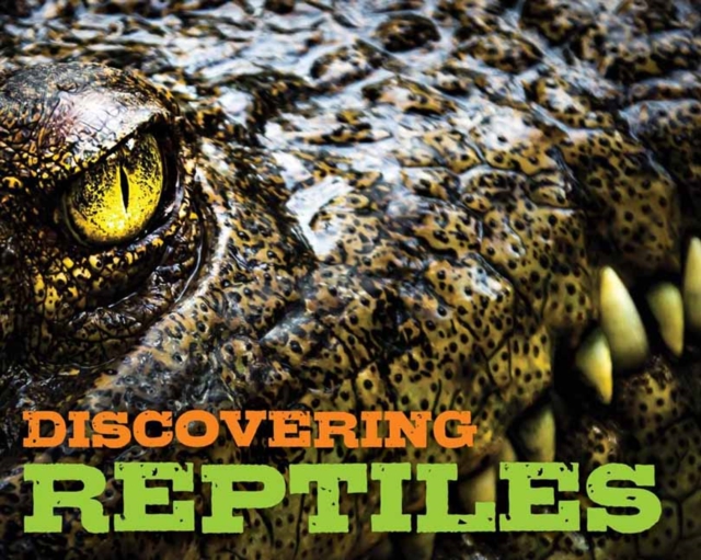 Discovering Reptiles Handbook, Hardback Book