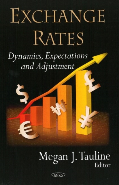 Exchange Rates : Dynamics, Expectations & Adjustment, Hardback Book