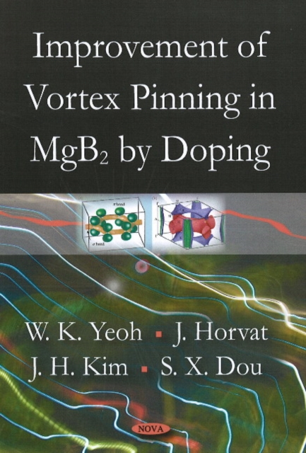 Improvement of Vortex Pinning in MgB2 by Doping, Paperback / softback Book